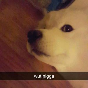 Meet your Posher, Taehwan